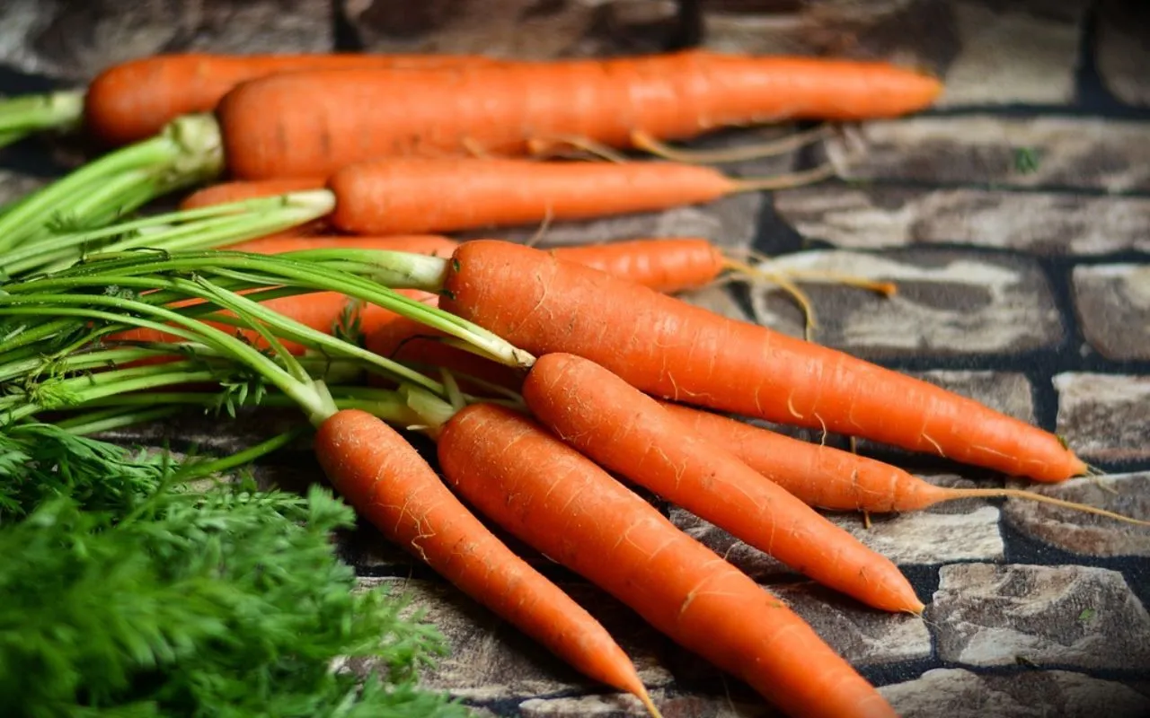 Combien de protéines dans la carotte